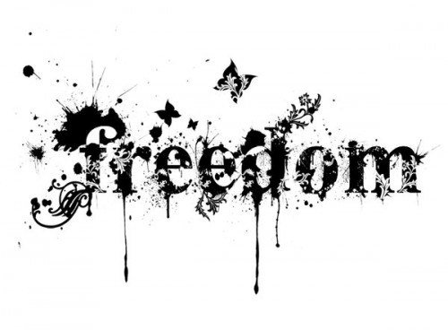 Freedom_by_whateverwinnie.jpg