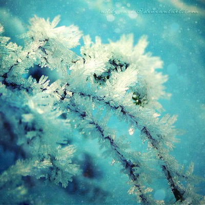 Winter_feeling_by_addy_ack.jpg