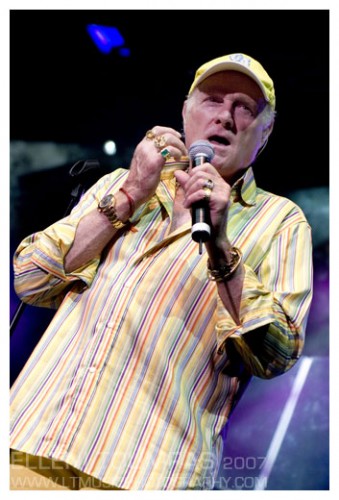 The_Beach_Boys_at_Riverstage_by_ltmusicphotography.jpg