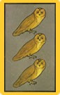 chouettes3.jpg