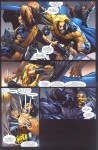 Serval-Wolverine V.I. - 163 - 011.jpg