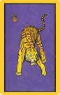 tigre.jpg